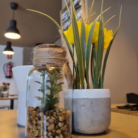 Ejido Hotel Ел Ехидо Екстериор снимка
